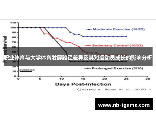 职业体育与大学体育发展路径差异及其对运动员成长的影响分析