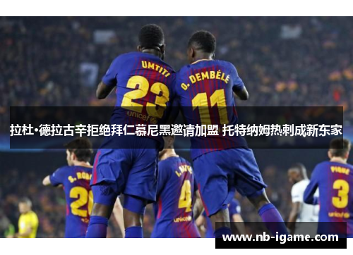 拉杜·德拉古辛拒绝拜仁慕尼黑邀请加盟 托特纳姆热刺成新东家 拉杜·德拉古辛拒绝拜仁慕尼黑邀请加盟 托特纳姆热刺成新东家