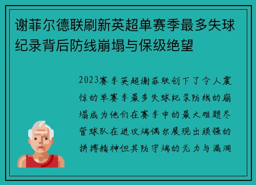 谢菲尔德联刷新英超单赛季最多失球纪录背后防线崩塌与保级绝望